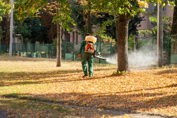 Best Pest Inspection Near Me  in New Market, AL