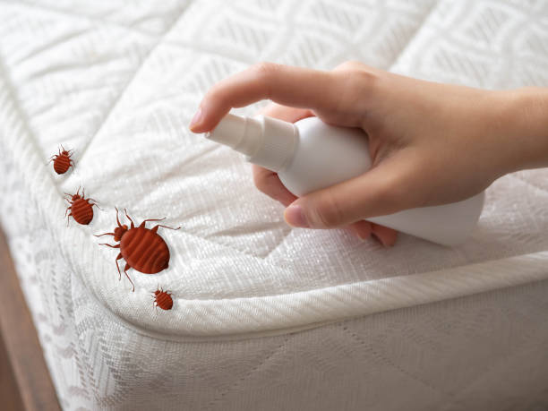 Best Ant Control Services  in New Market, AL