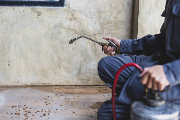 Best Flea Control Services  in New Market, AL